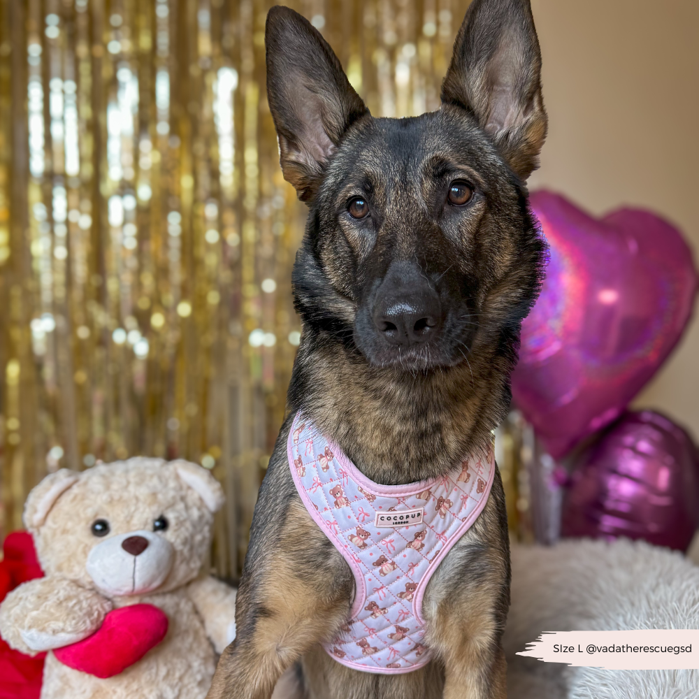 Quilted Thea Teddy Adjustable Harness