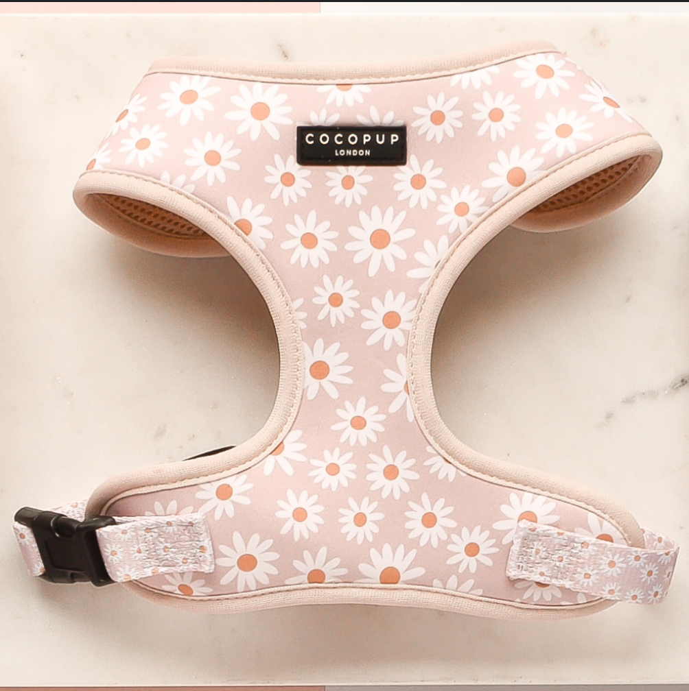 Luxe Adjustable Harness – Daisy Chain (L)