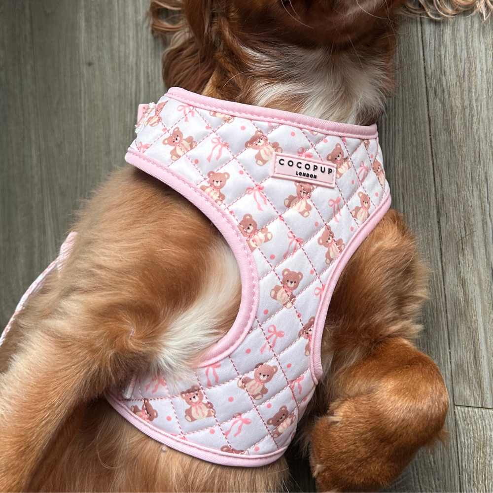 Quilted Thea Teddy Adjustable Harness