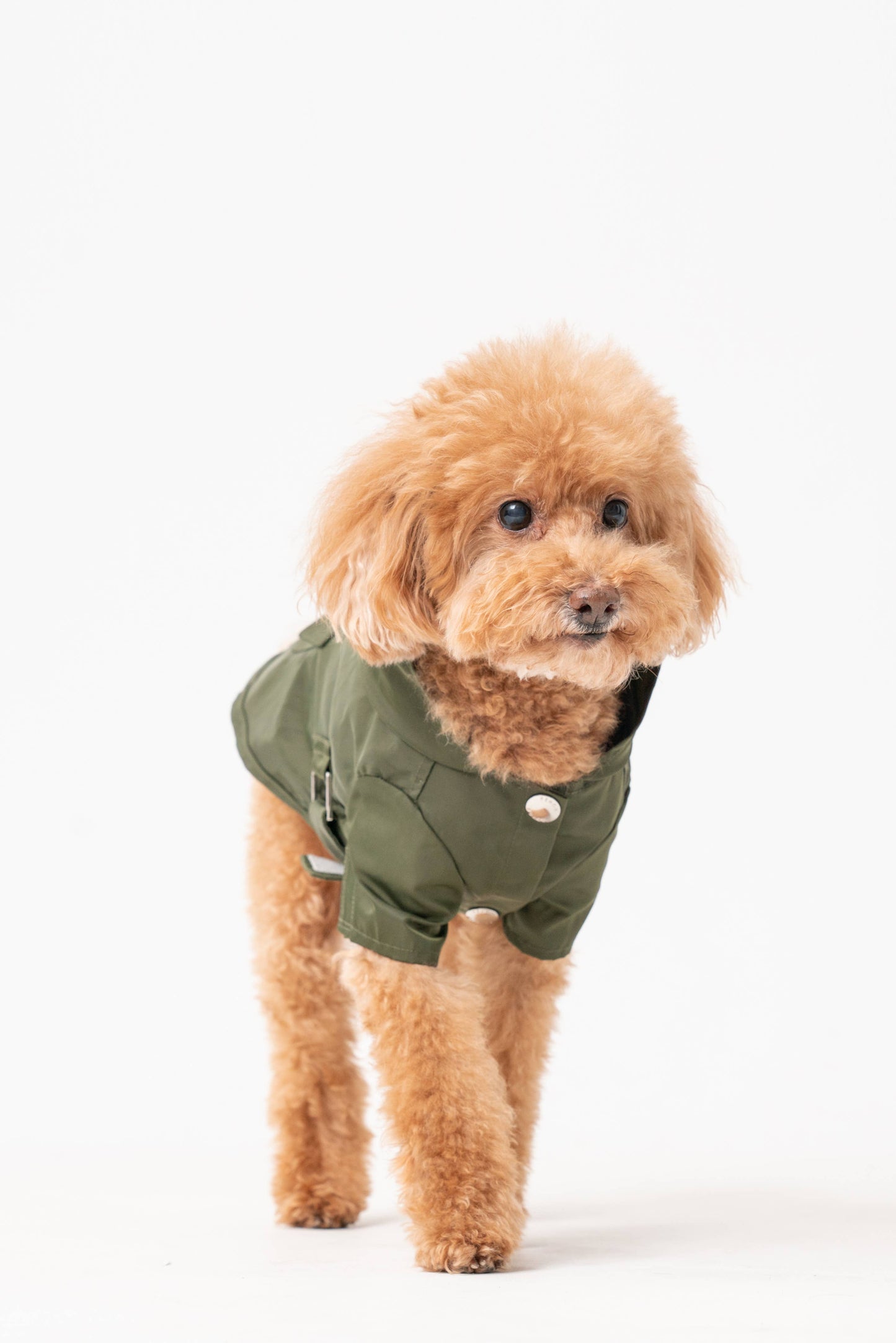 Pehom Water-Repellent Dog Jacket – Premium Style Meets Function: M