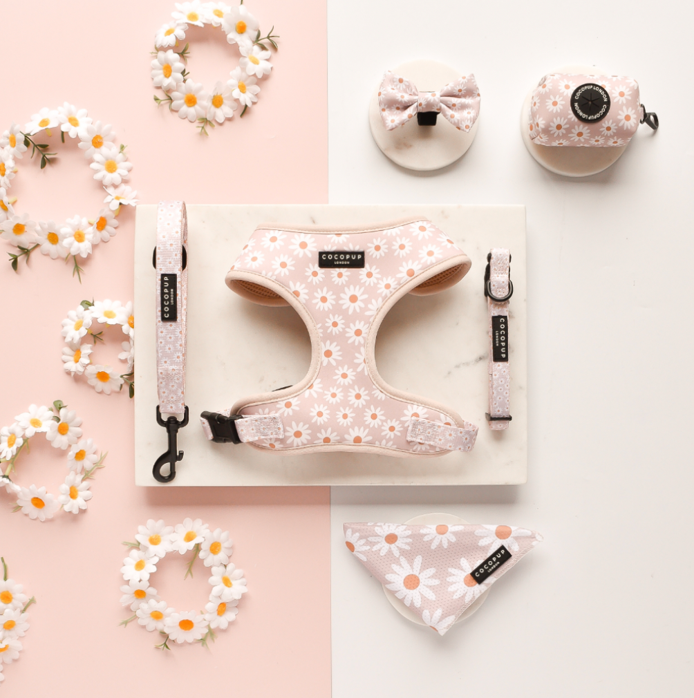 Luxe Adjustable Harness-Daisy Chain (L)