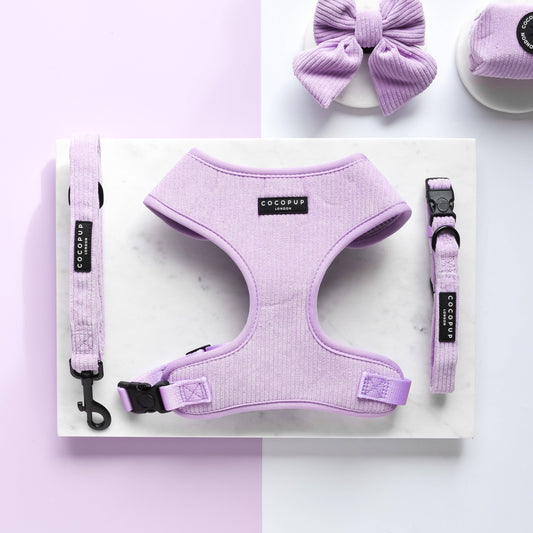 Lilac Cord Adjustable Neck Harness