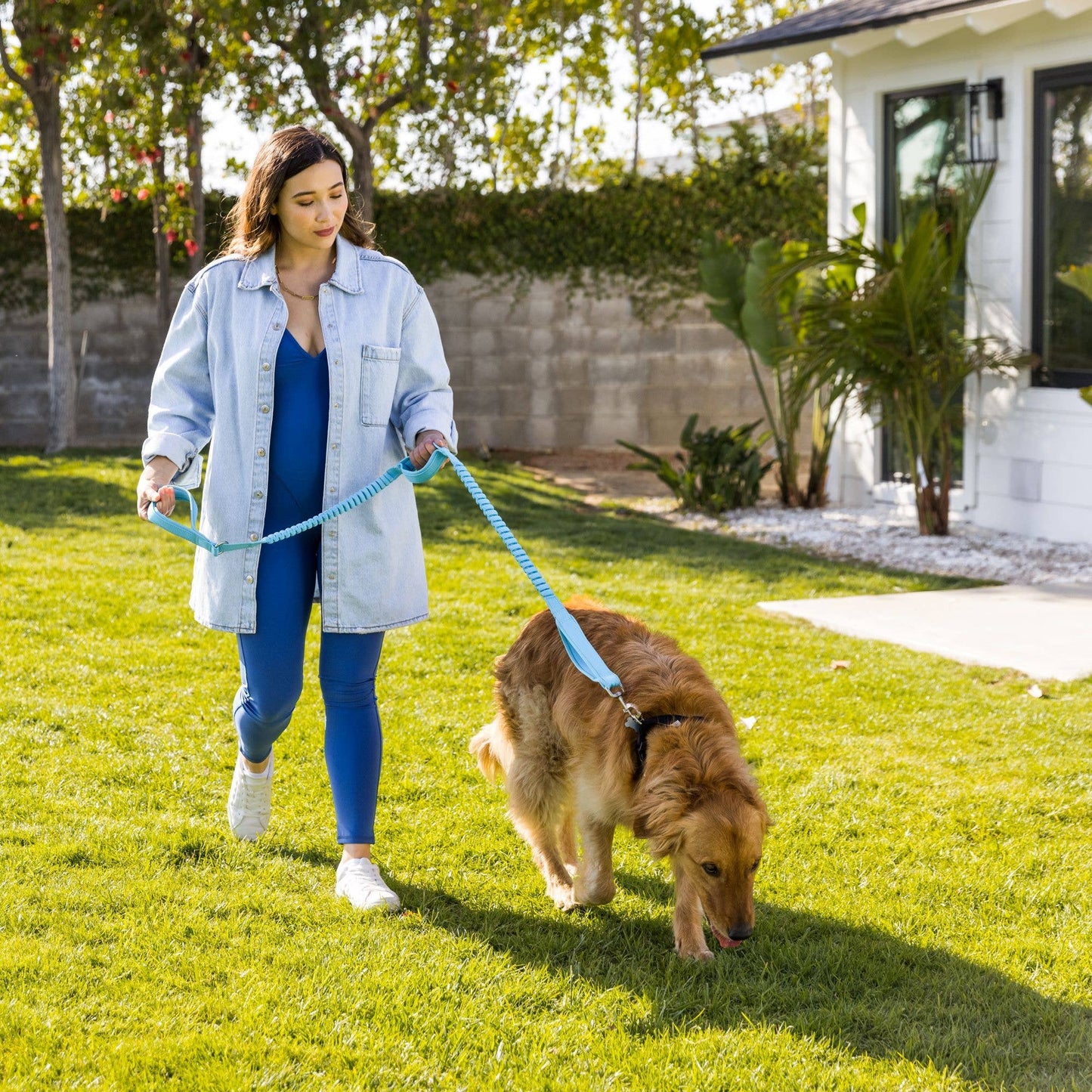 Shed Defender 3-Handle Leash: Black