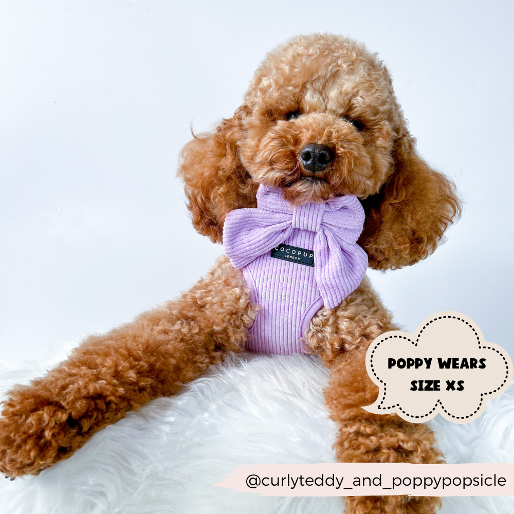 Lilac Cord Adjustable Neck Harness