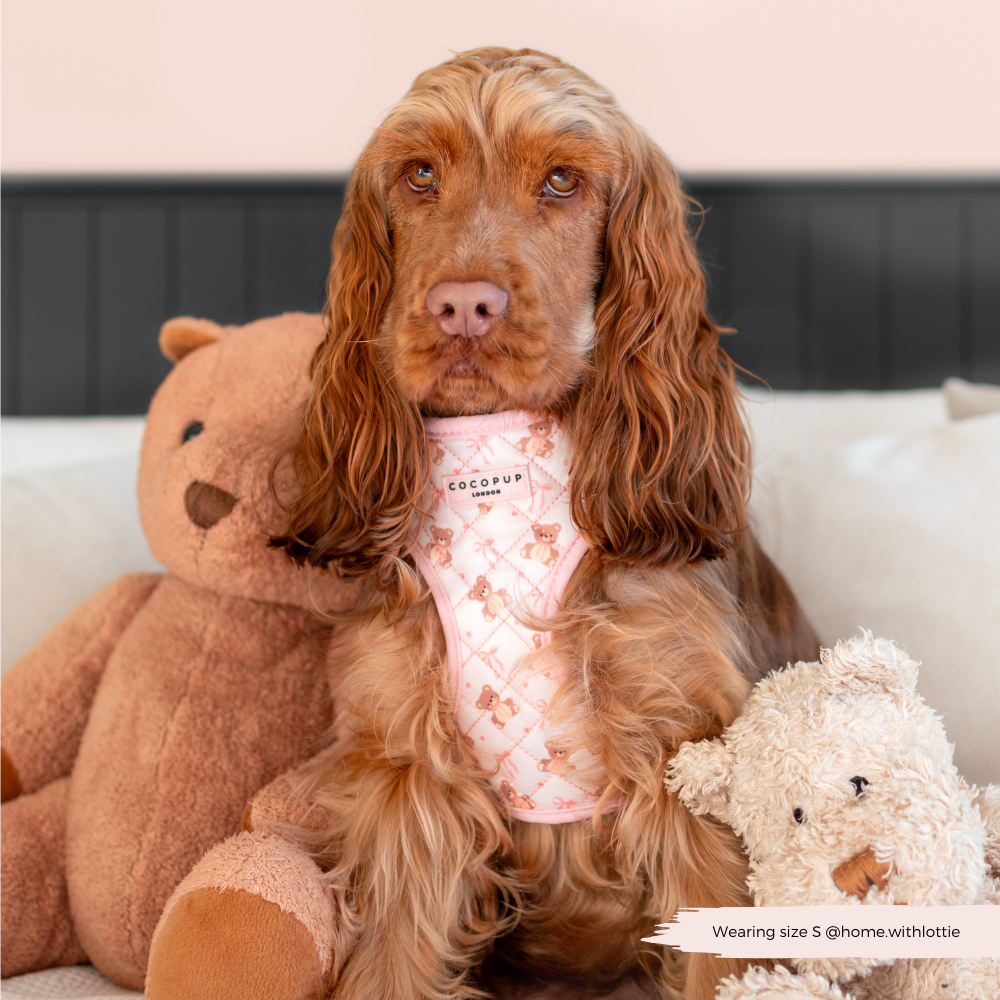 Quilted Thea Teddy Adjustable Harness