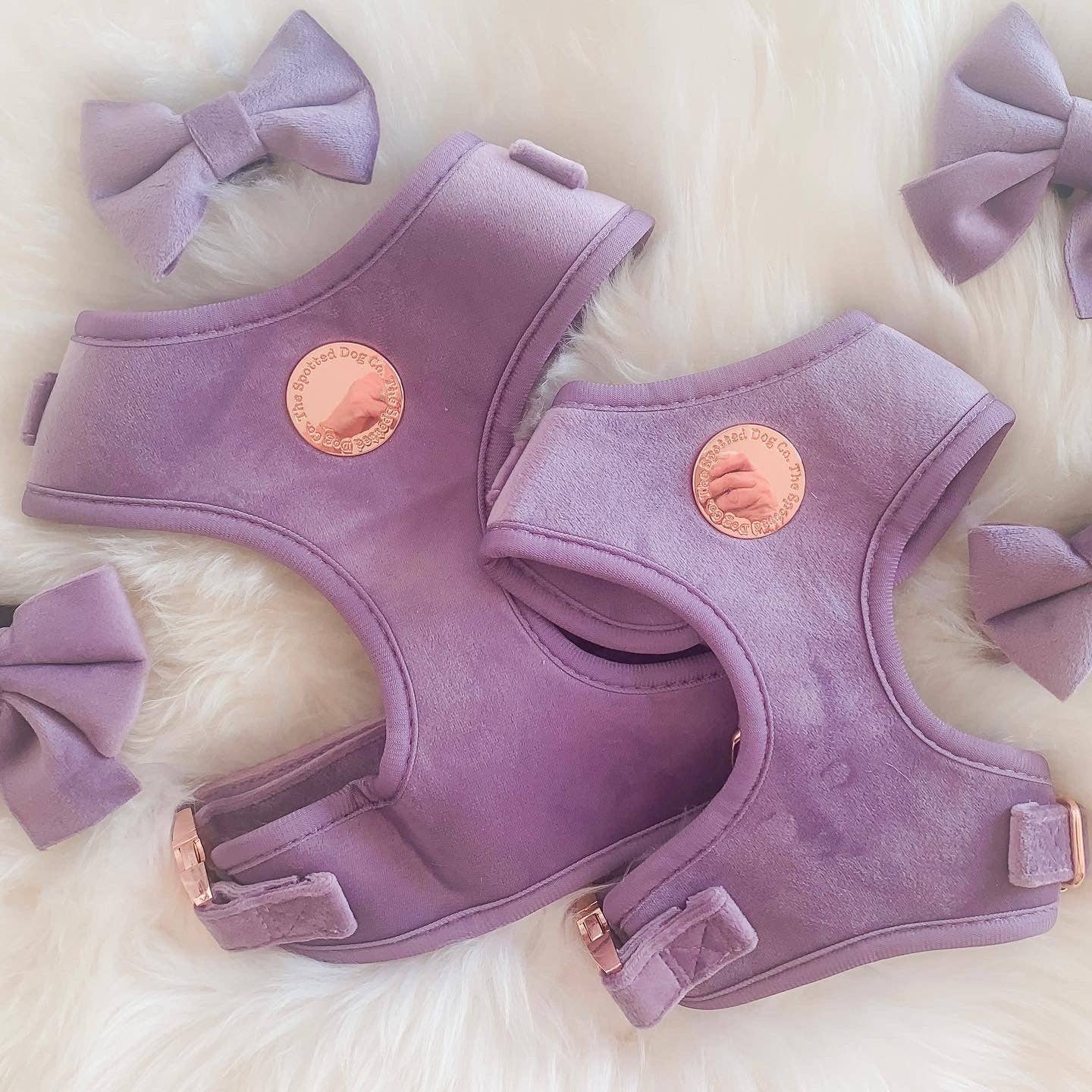 Lilac Velvet Harness