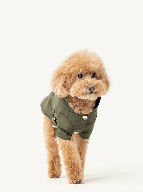 Pehom Water-Repellent Dog Jacket – Premium Style Meets Function: M