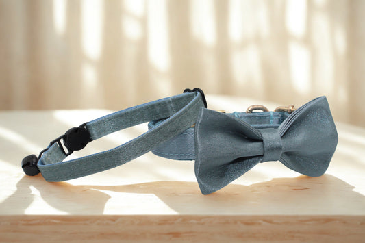 Ice Blue Grey Cat Collar