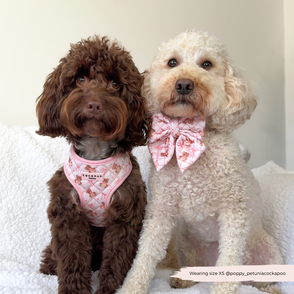 Quilted Thea Teddy Adjustable Harness