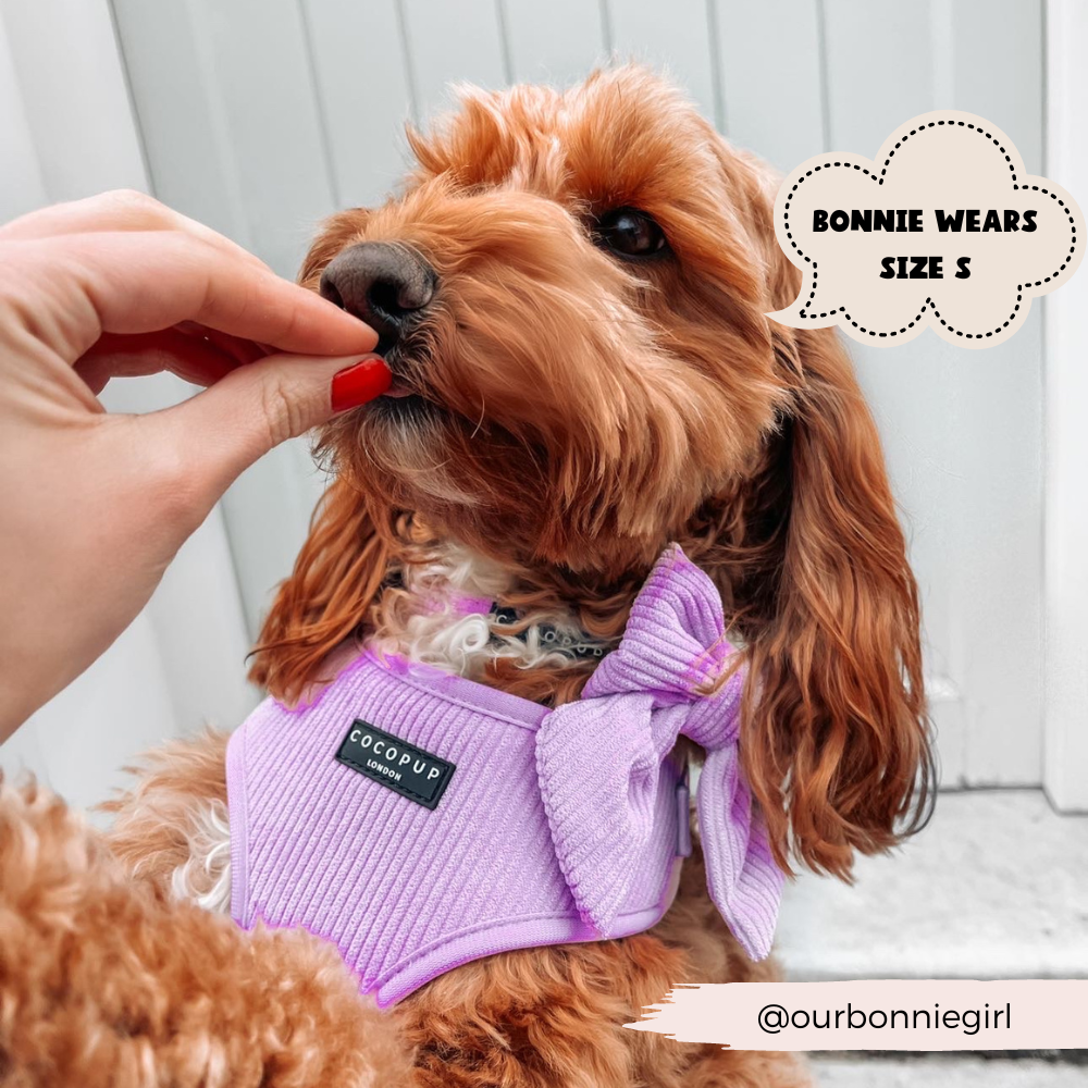 Lilac Cord Adjustable Neck Harness