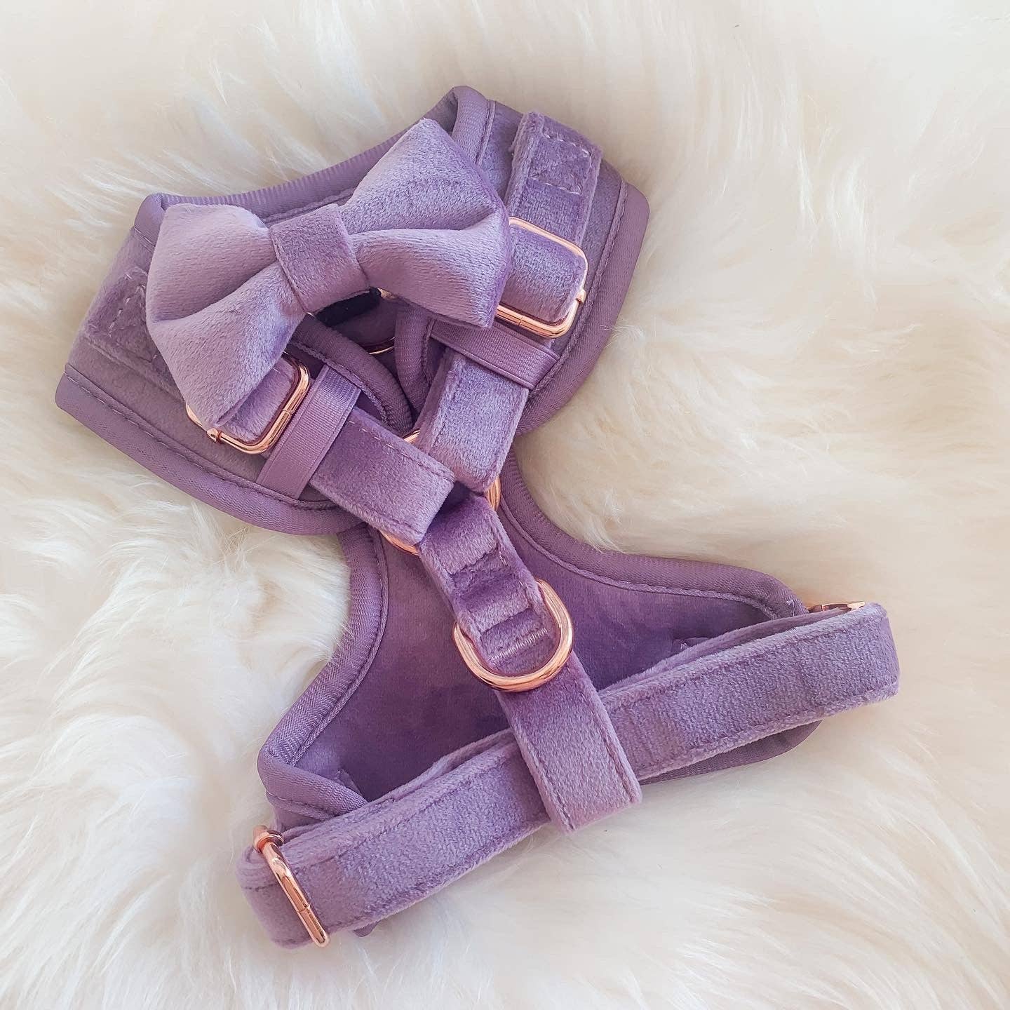 Lilac Velvet Harness