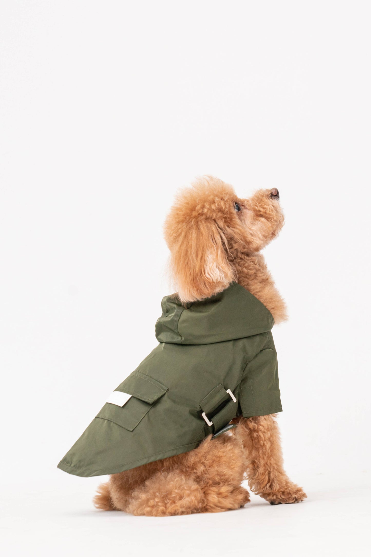 Pehom Water-Repellent Dog Jacket – Premium Style Meets Function: M