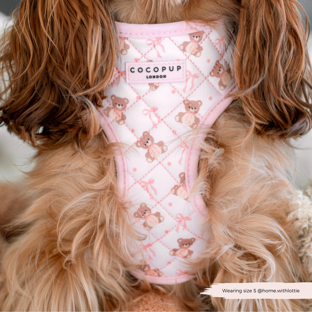 Quilted Thea Teddy Adjustable Harness