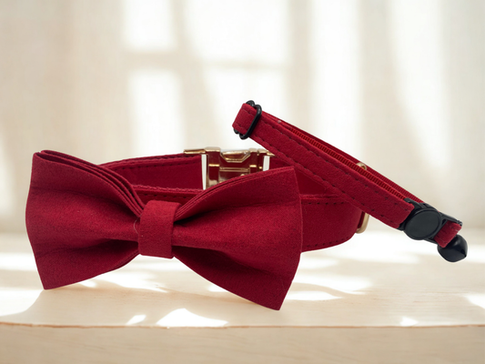 Cherry Cat Collar