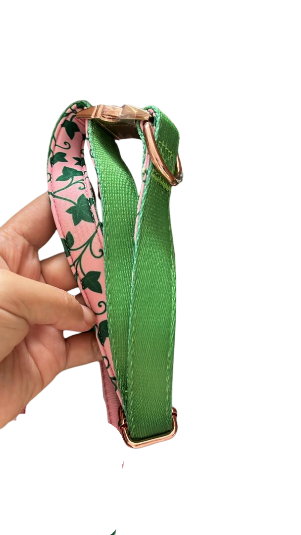 Ivy Collar (M)