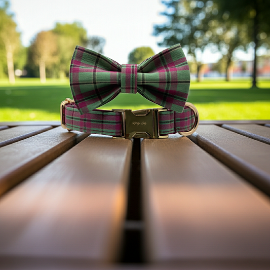 The Walking Dog Set - Purple Mint Plaid