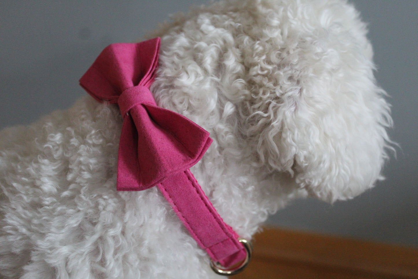 The Pink Bowtie & Collar Set
