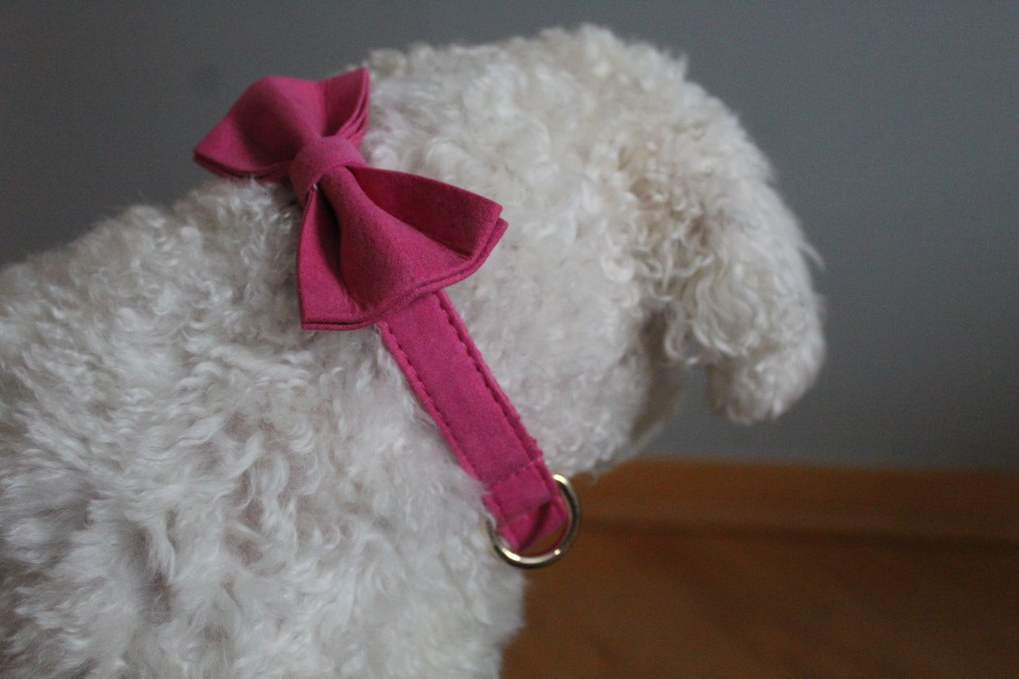 The Pink Bowtie & Collar Set