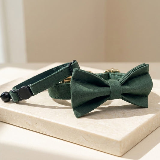 Green Day Cat Collar