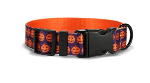 Purple Pumpkin Halloween Dog Collar
