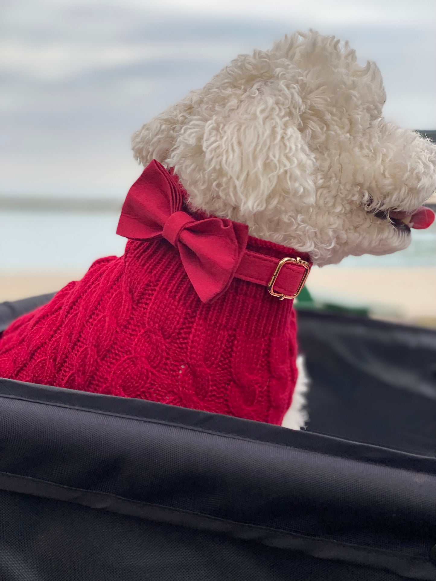 Luxury Cable Knit Dog Sweater- Chic, Cozy and Timeless