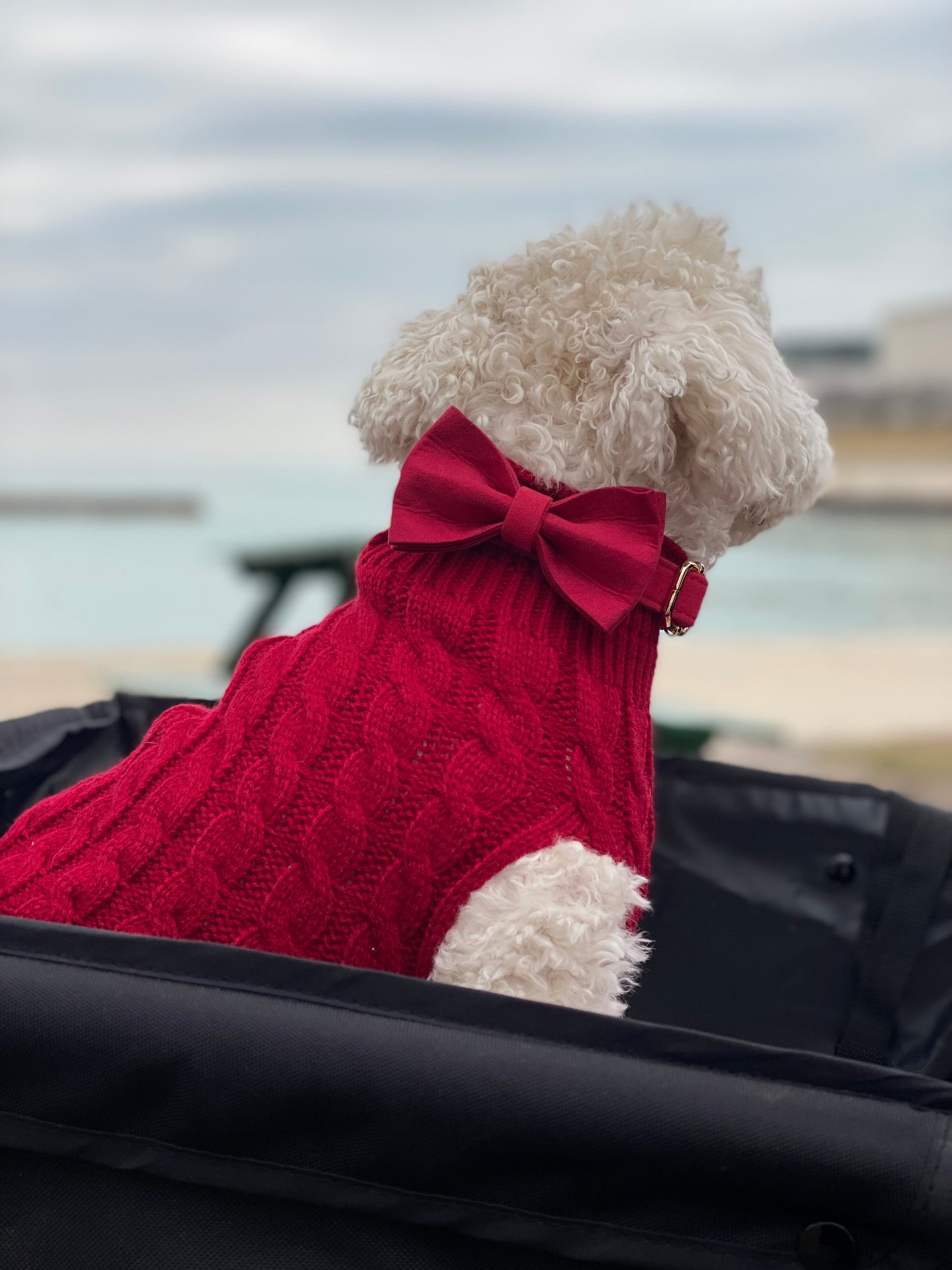 Luxury Cable Knit Dog Sweater- Chic, Cozy and Timeless