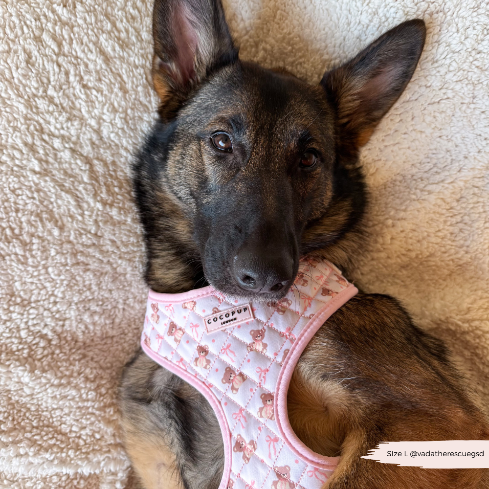 Quilted Thea Teddy Adjustable Harness
