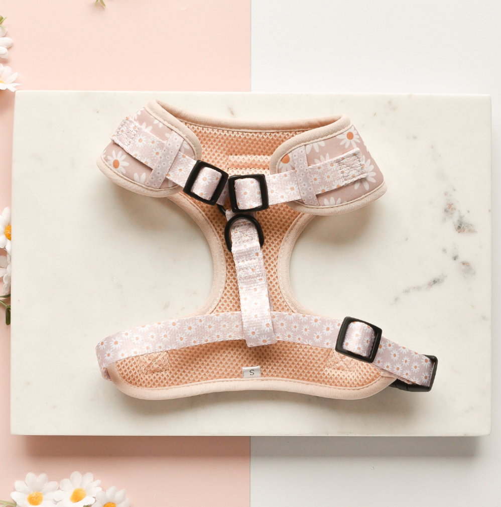 Luxe Adjustable Harness – Daisy Chain (L)