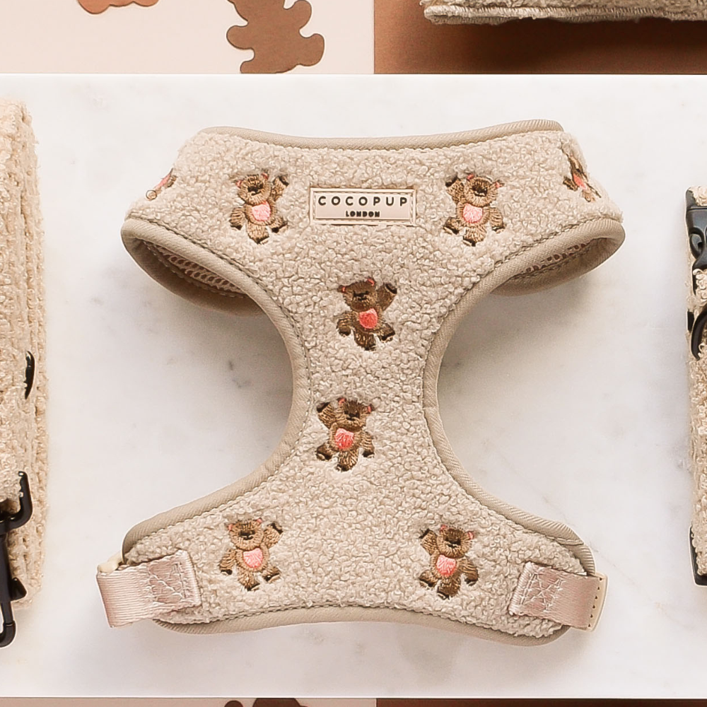 Cocopup London Theo Embroidered Teddy Adjustable Neck Harness