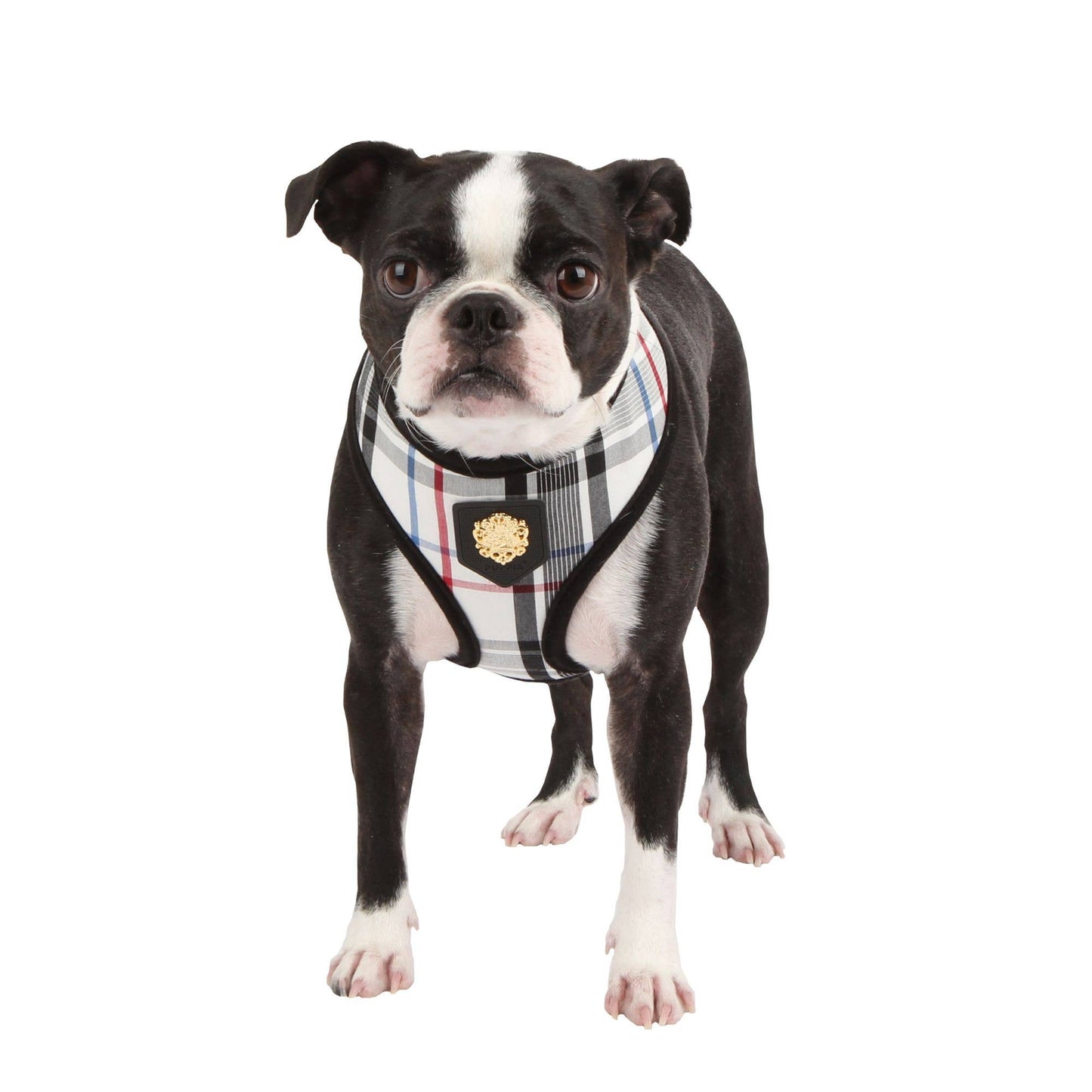 Junior Dog Harness Over-the-Head Checkered Pattern: M / BLACK