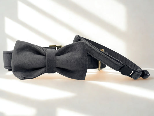 Velvet Grey Cat Collar
