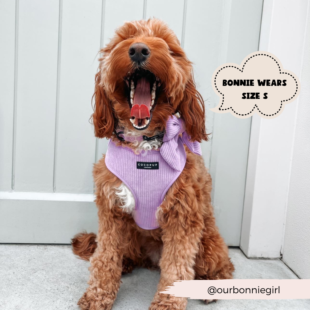 Lilac Cord Adjustable Neck Harness