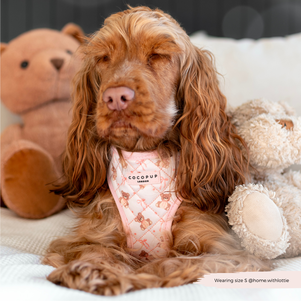 Quilted Thea Teddy Adjustable Harness