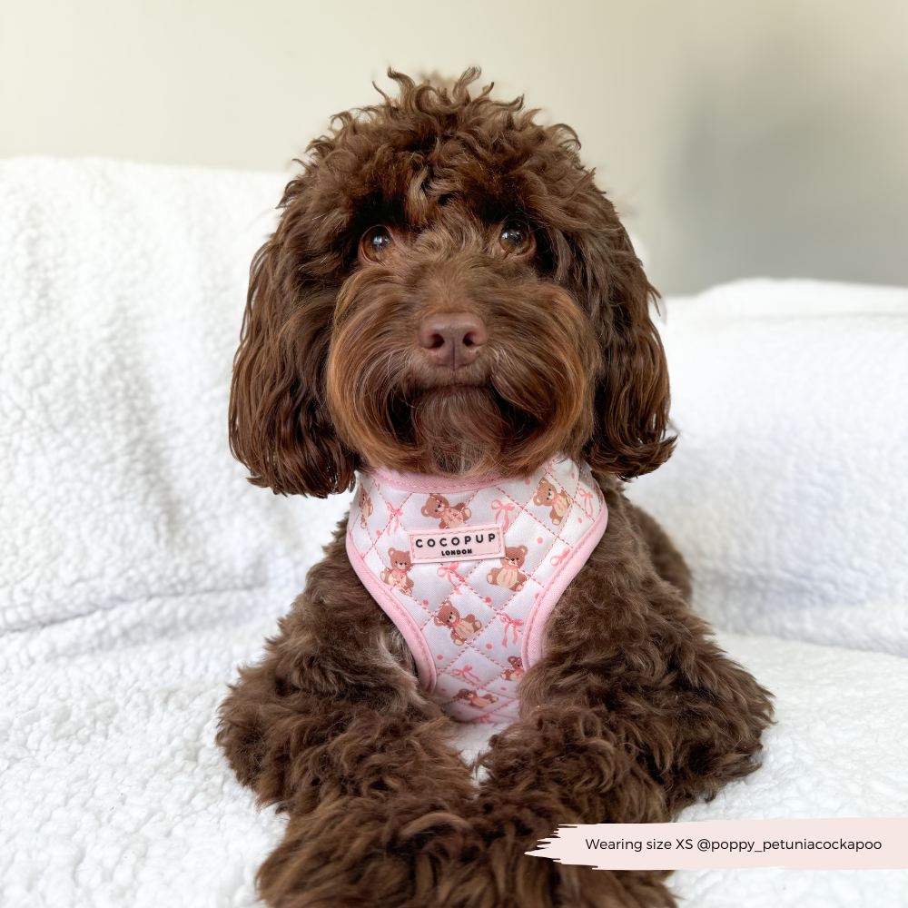 Quilted Thea Teddy Adjustable Harness