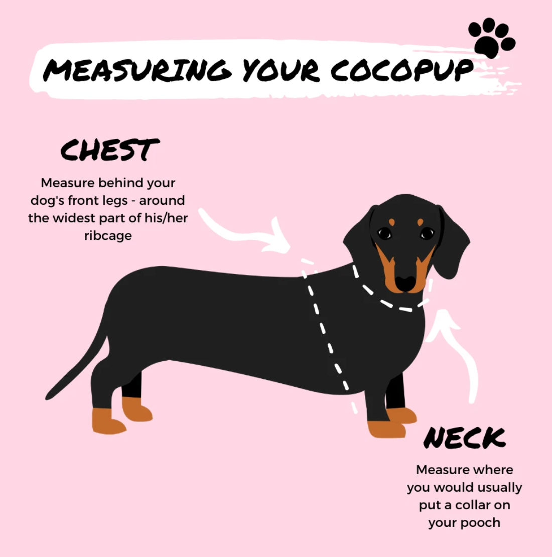 Cocopup London Theo Embroidered Teddy Adjustable Neck Harness