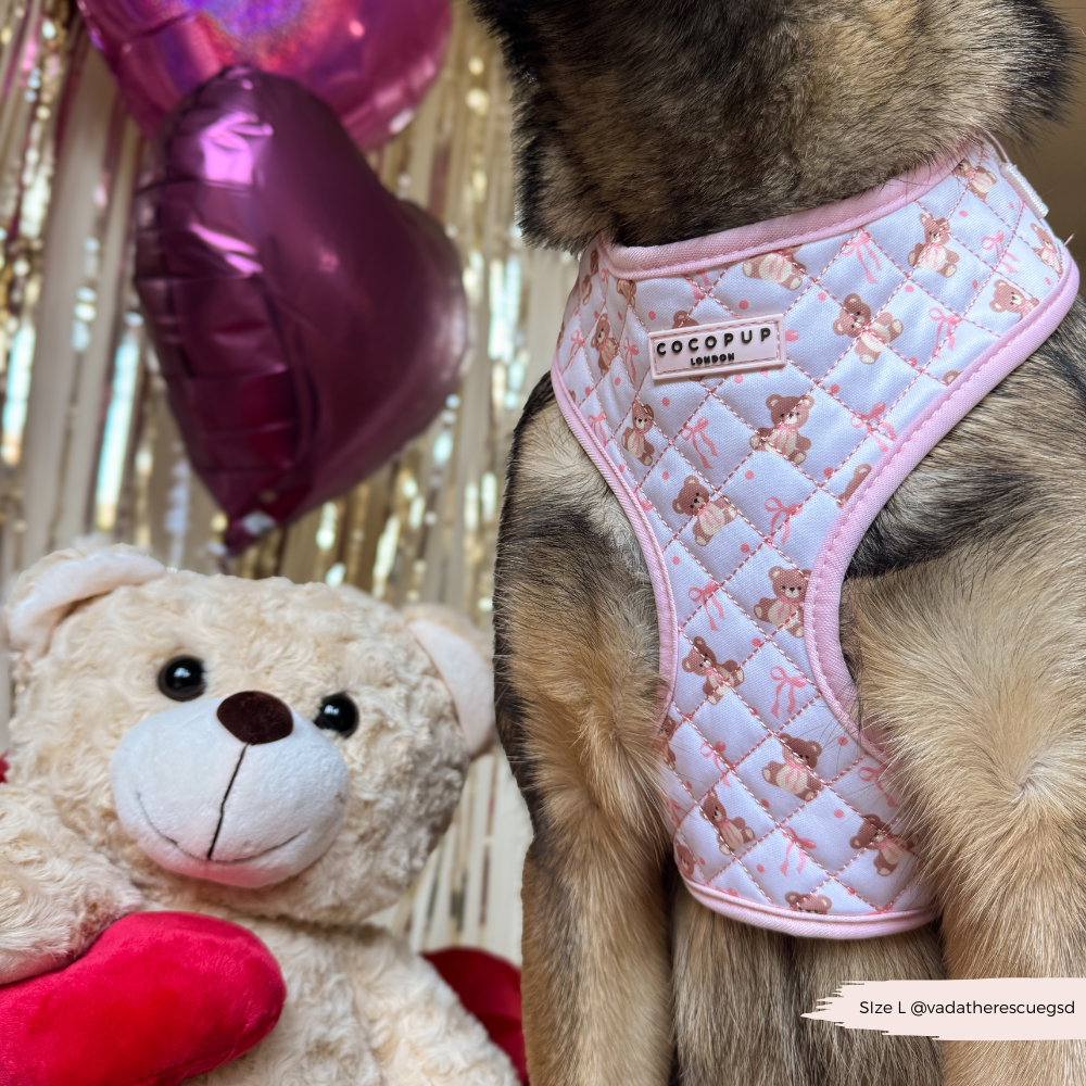 Quilted Thea Teddy Adjustable Harness
