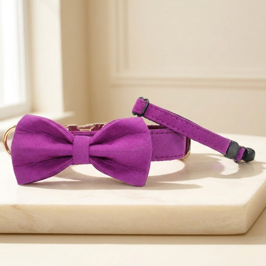 Candy Purple Cat Collars