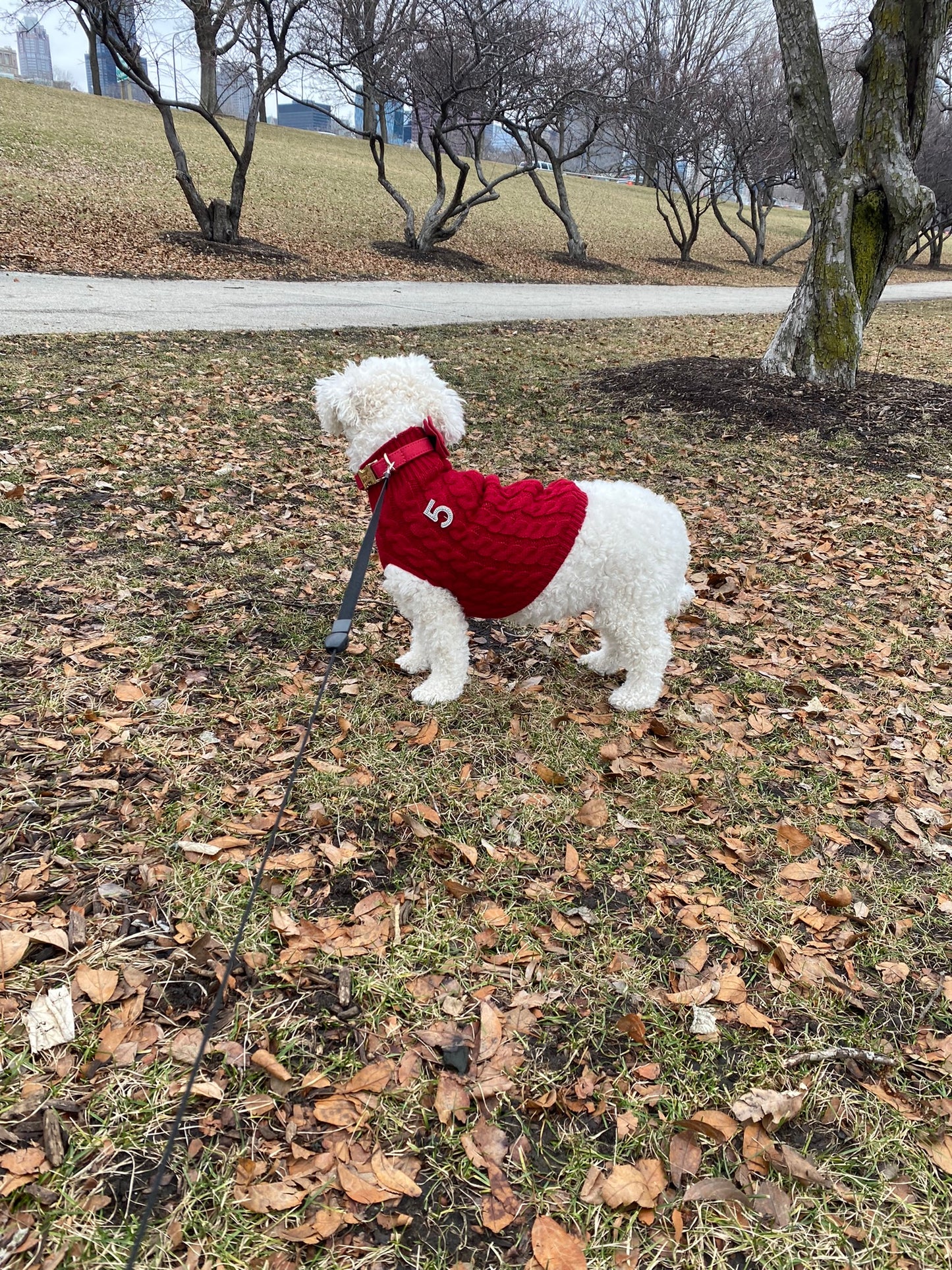 Luxury Cable Knit Dog Sweater- Chic, Cozy and Timeless
