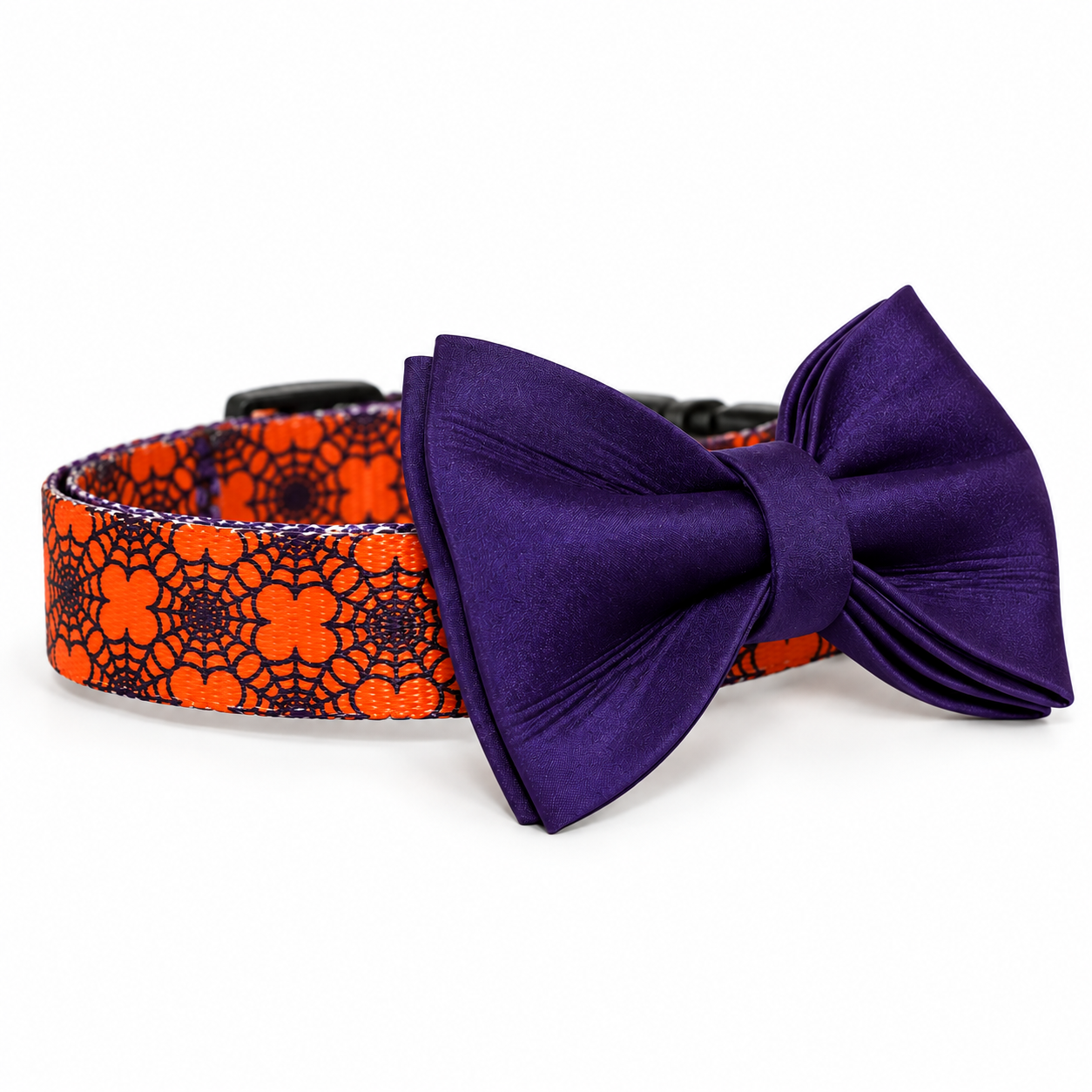 Spider Web Halloween Dog Collar