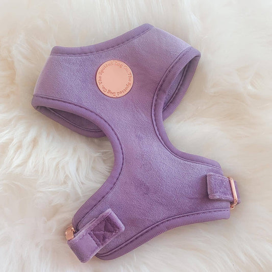 Lilac Velvet Harness