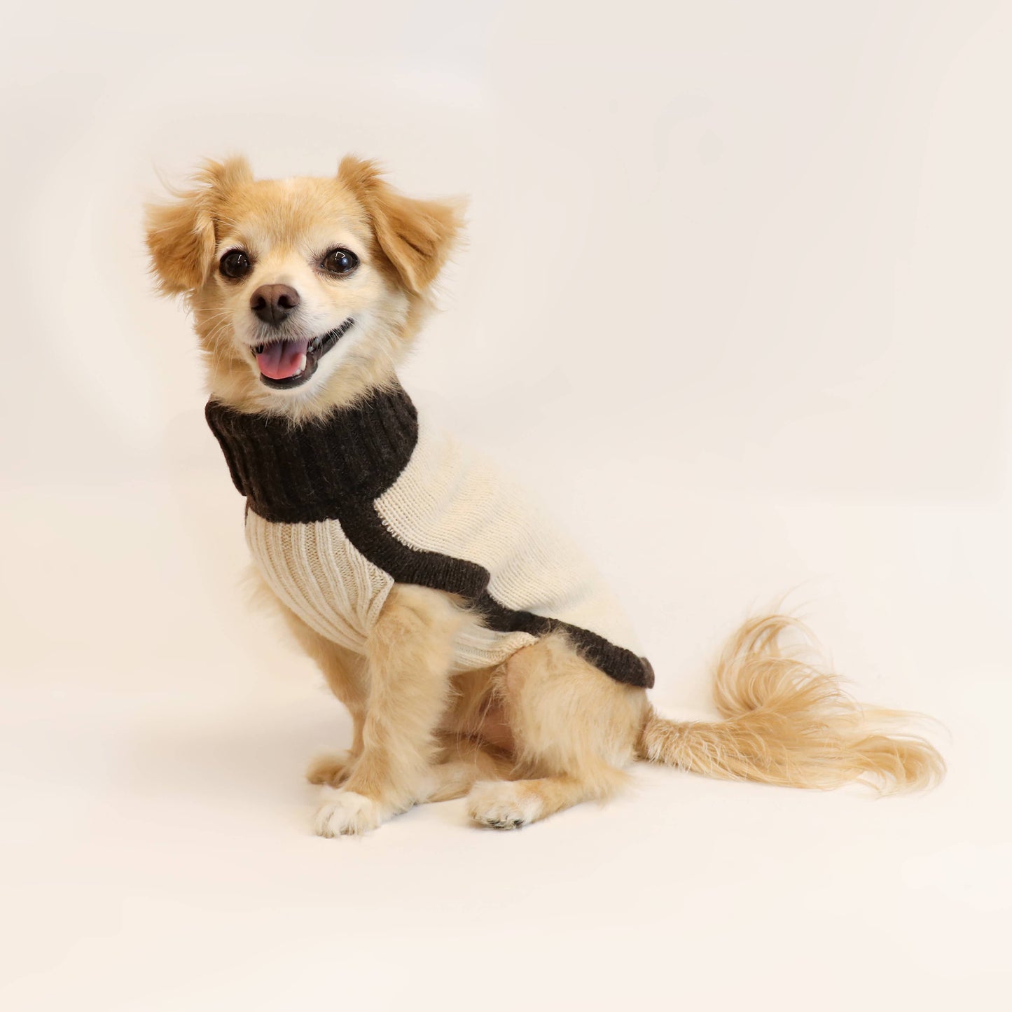 Le Chien Bleu NY Merino Wool Dog Sweater – Luxurious Warmth & Style