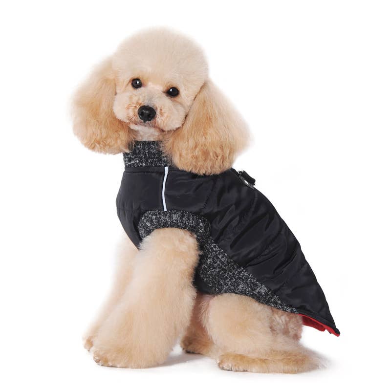 Athletic Zip-Up Dog Coat