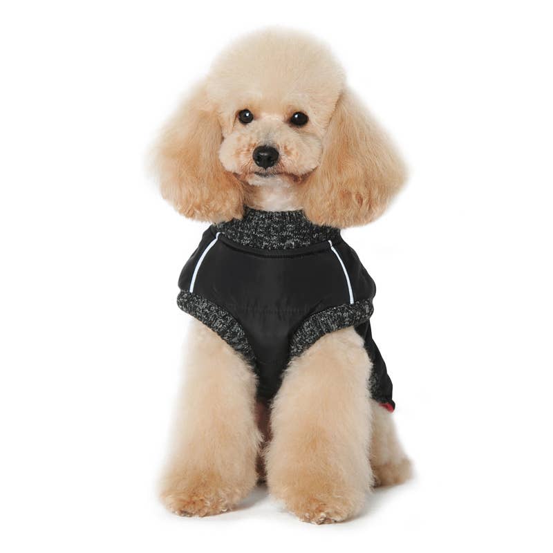 Athletic Zip-Up Dog Coat