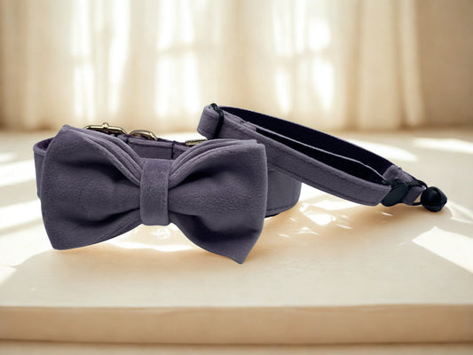 Violet Cat Collar
