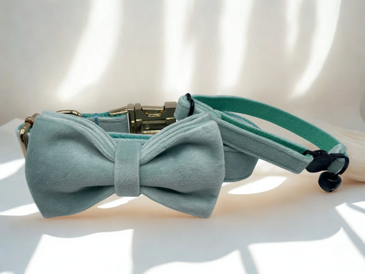Aqua Cat Collar