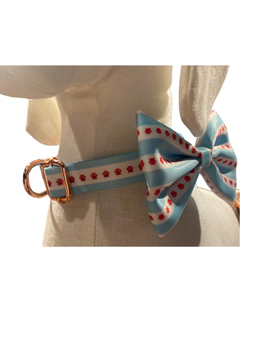 Chicago Edition — Collar + Bowtie Set