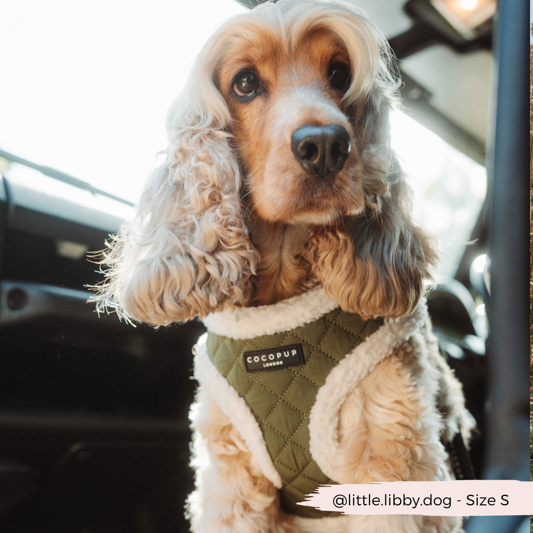 Khaki Quilted Adjustable Neck Harness