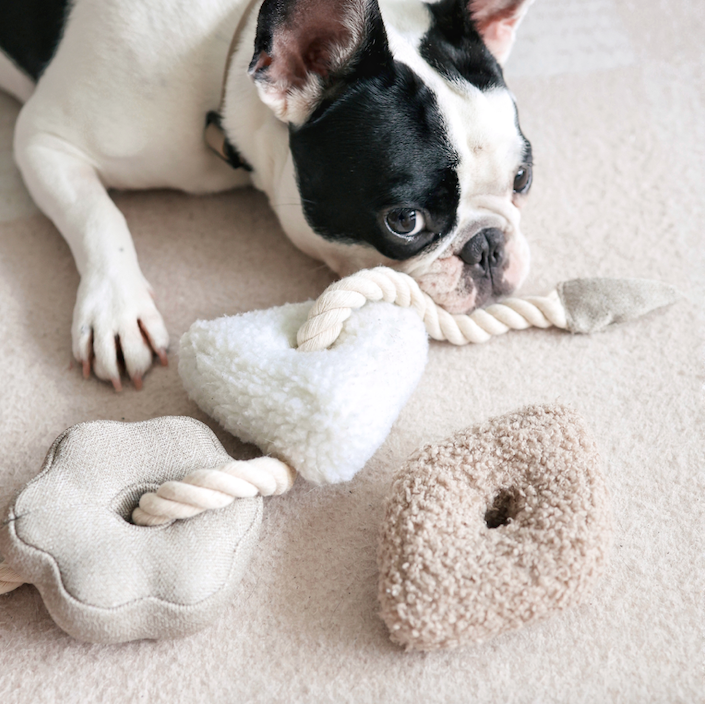 ENRICHMENT DOG TOY /BLOCS: NUDE