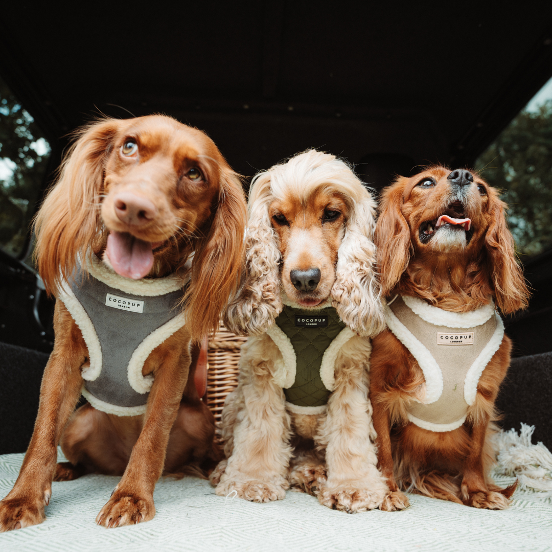 Khaki Quilted Adjustable Neck Harness