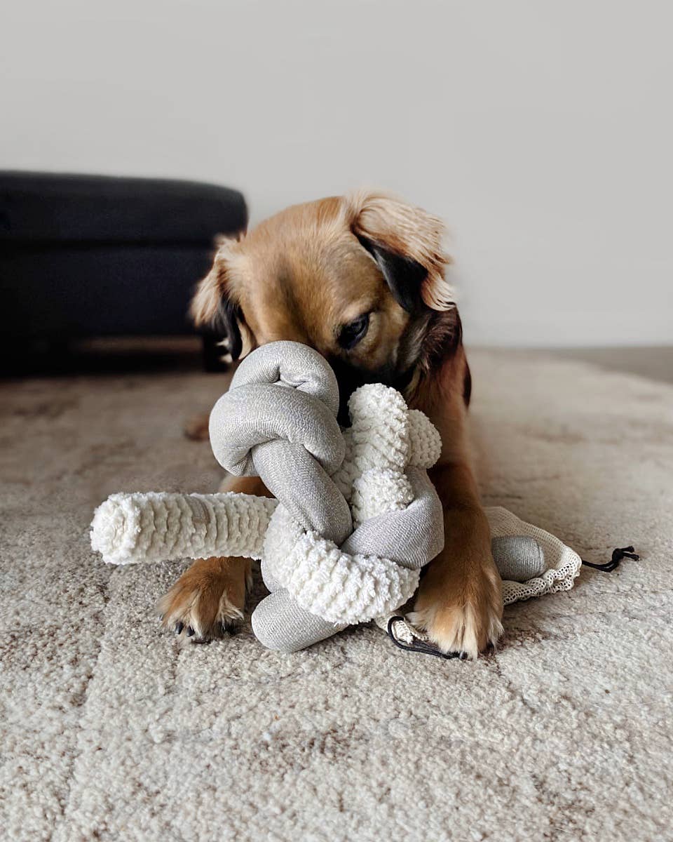 NOU | squeakers//ENRICHMENT DOG TOY: Taupe